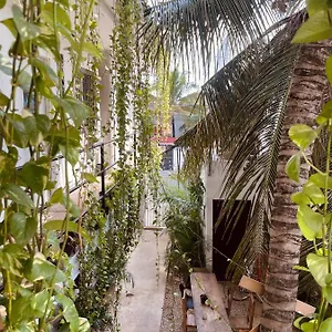  Inn Anana Coliving